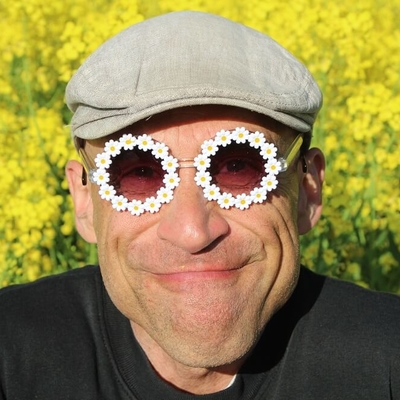 Gänseblümchen im Raps
