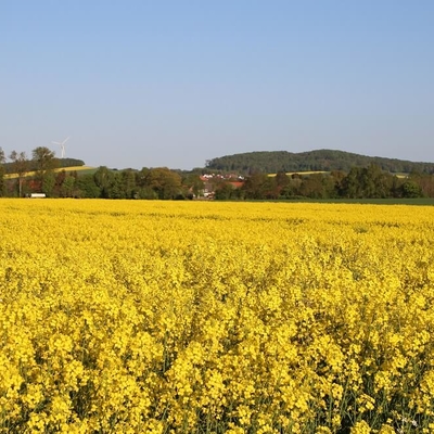 Blick von Sorsum nach Evestorf